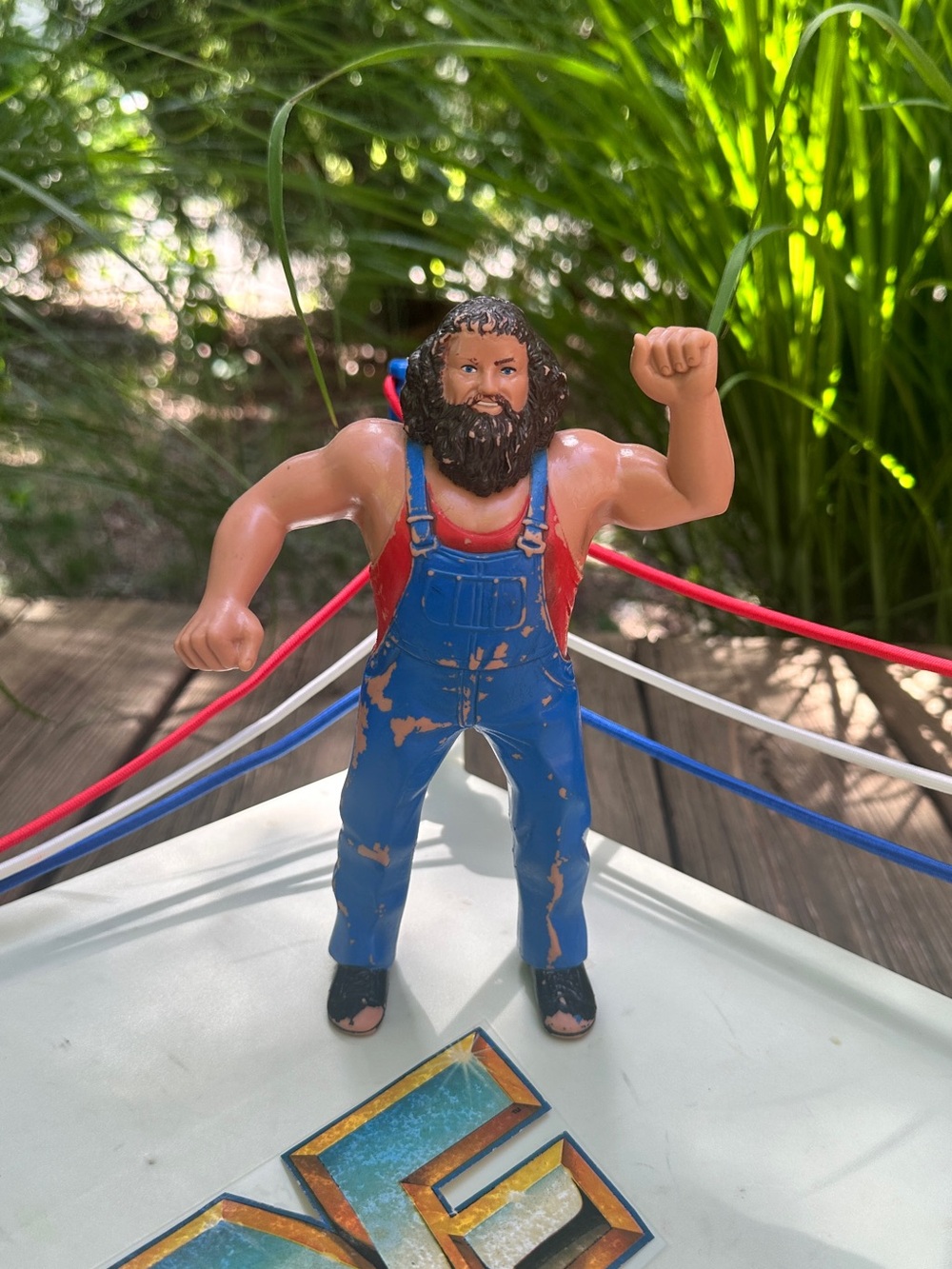 Vintage 1984 LJN WWF WWE Hillbilly Jim Wrestling Superstars Action Figure